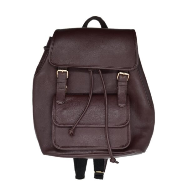 Leather Bagpack Brown Colour