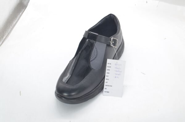 BH-201A - Image 4