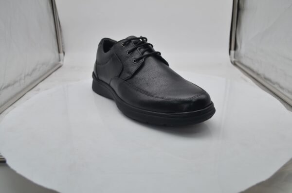 22210 - Image 4
