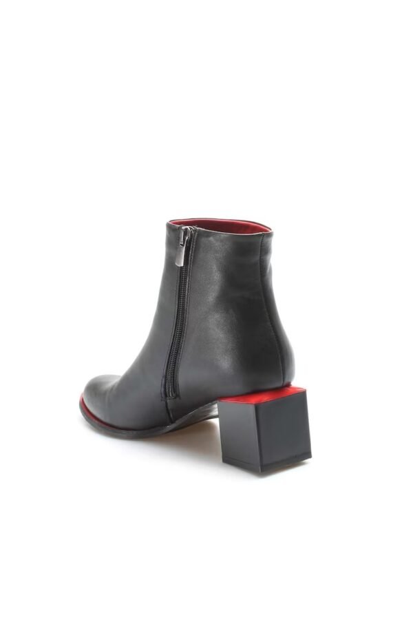 WB-2206 - Image 2