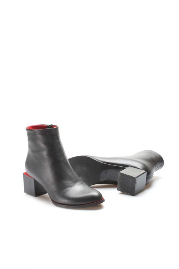 WB-2206 - Image 5