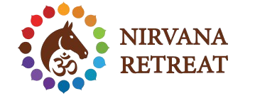 Experience & Activities